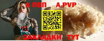 сатива Кингисепп
