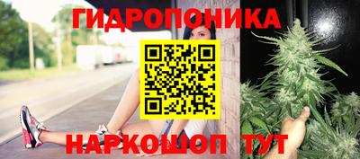 крисы Кимры