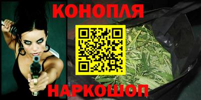 сатива Кингисепп