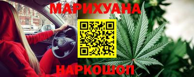 сатива Кингисепп