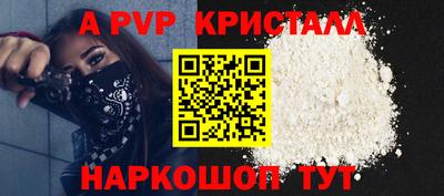 сатива Кингисепп
