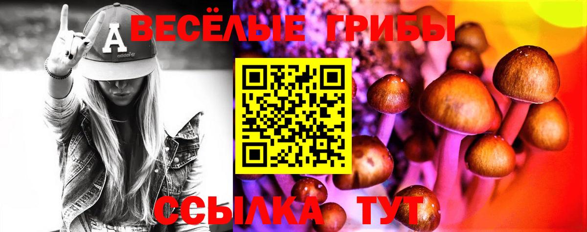 Псилоцибиновые грибы Magic Shrooms  Вход с VPN  Коркино  Галлюциногенные грибы Psilocybine cubensis 