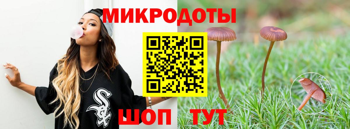 Галлюциногенные грибы Cubensis Коркино